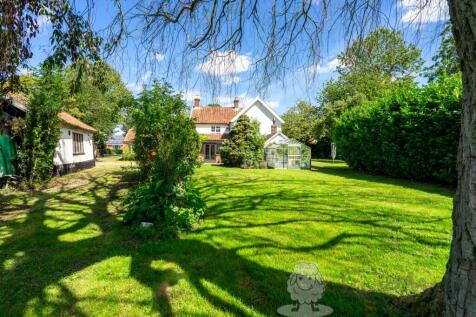 View from the Paddock