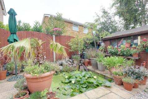 Garden 1