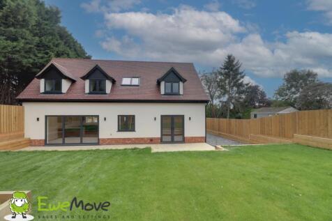 Garden at Station Road by Ben Brind EweMove Sales 