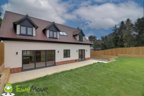 Garden at Station Road by Ben Brind EweMove Sales 