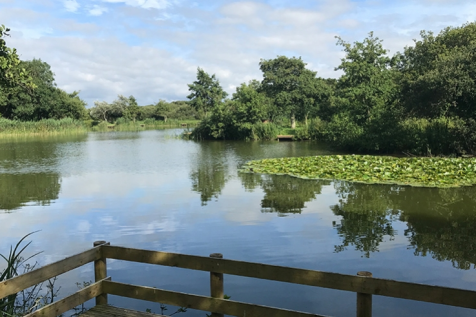 Fishing Lake