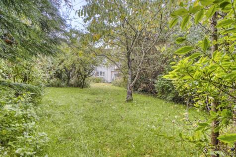 Birch House (2)