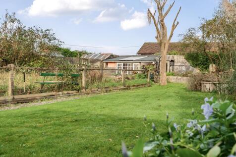 Garden 5