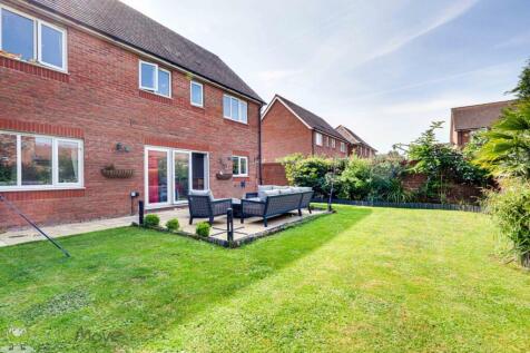 Back Garden 
