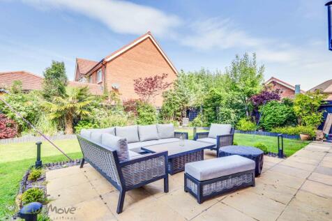 Back Garden 