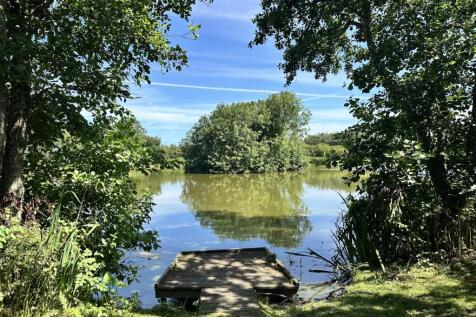 Springfield Lake 2