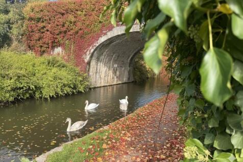 VIRTUALLY STAGED - AUTUMN SCENE