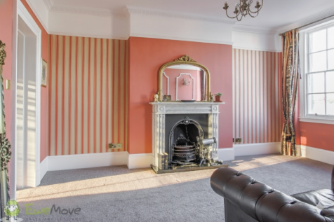 Gemini_Generated_Image_pclnd9pclnd9pcln