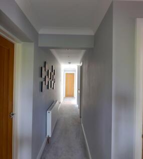IMG_3216-IMG_3218 copy