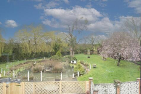 IMG_2984 copy