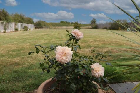 IMG_4242 copy