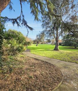 Salt Hill Park