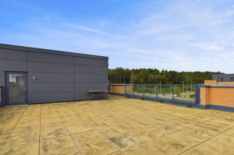 Roof Terrace