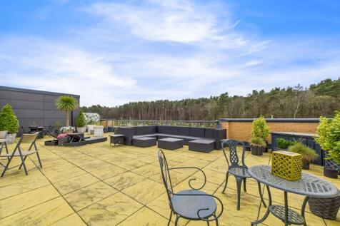Roof Terrace