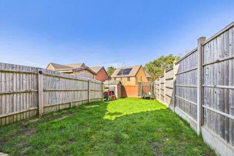 Back Garden