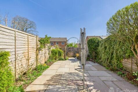 Back Garden
