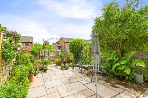 Back Garden 