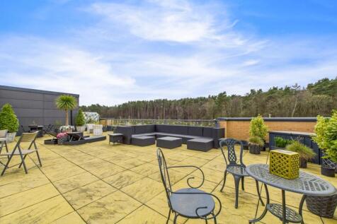 Roof Terrace