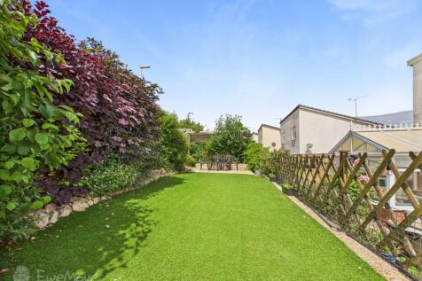 Back Garden