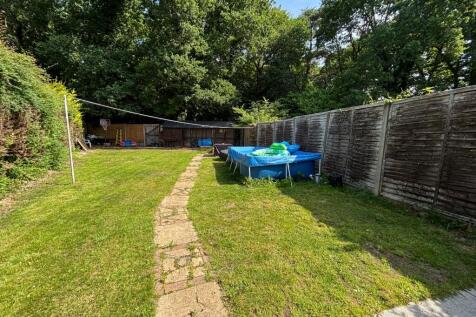 Back Garden