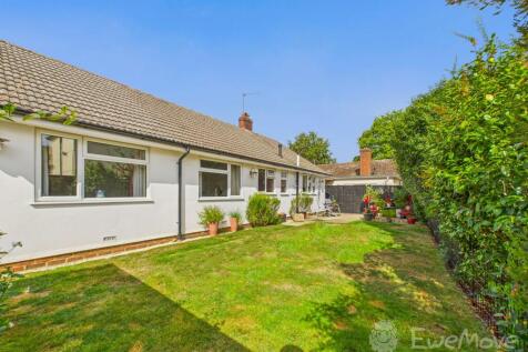 Back Garden 