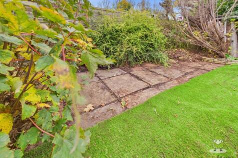 CAM01543G0-PR0163-STILL004