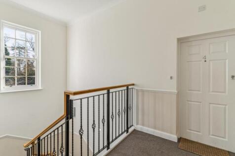 DSC03116-42f2745996b32a92dc6b2143f3939ff1 - 800px.jpg