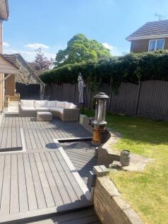 Rear Garden Picture