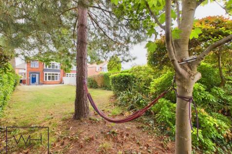 hammock