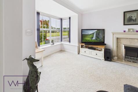 CAM03785G0-PR0309-ST