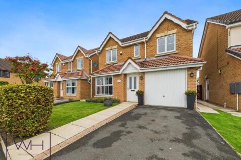 CAM03785G0-PR0309-ST