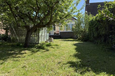 NEW GARDEN 8.jpg