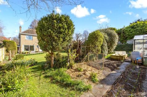 The Droveway 80 GARDEN FROM REAR.jpeg