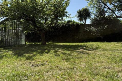 NEW GARDEN 3.jpg