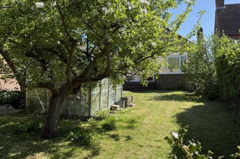 NEW GARDEN 7.jpg