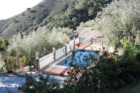 Property Image 24
