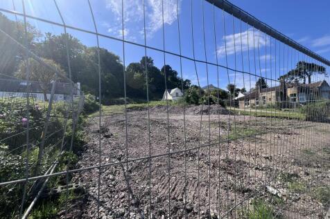 The site