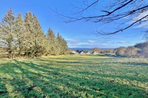 View from the top of the garden