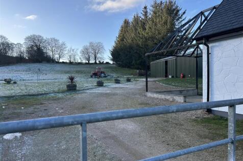 Frosty garden view