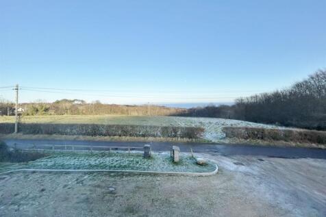 Frosty front view