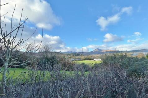 View from garden