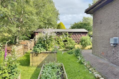 Raised beds to the timber shed
