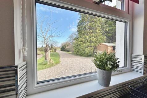 Kitchen view