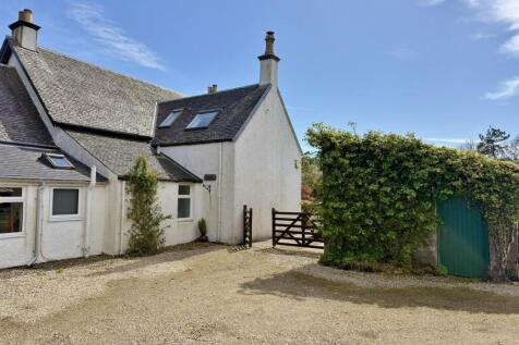 Rear of Dippin House