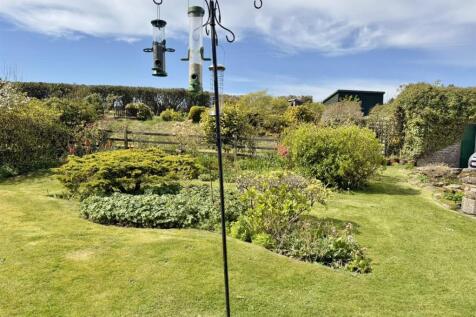 Looking to the vegetable beds