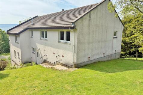 The rear garden