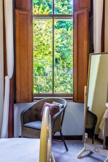 Vivid side window