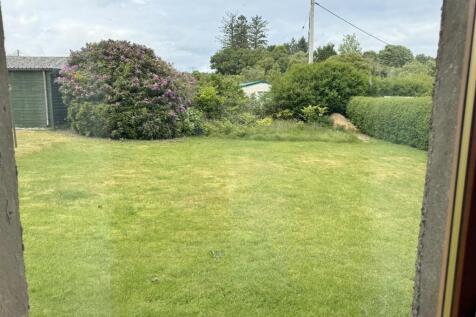 Rear garden from the study
