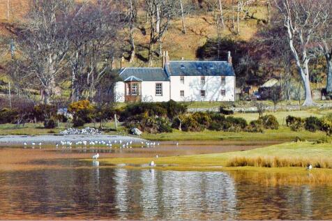 The Lodge