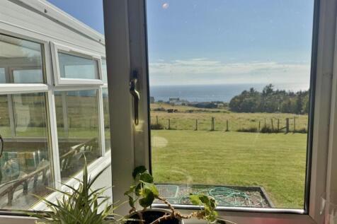 Kitchen view